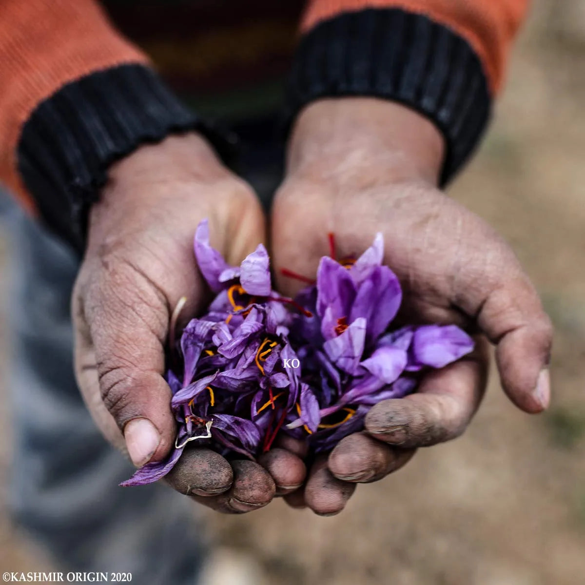 3 Gram Pure Kashmiri Saffron | शुद्ध केसर