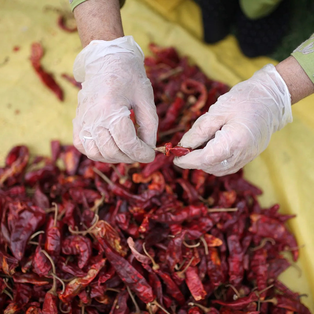 Kashmiri Dried chilli (400gms)